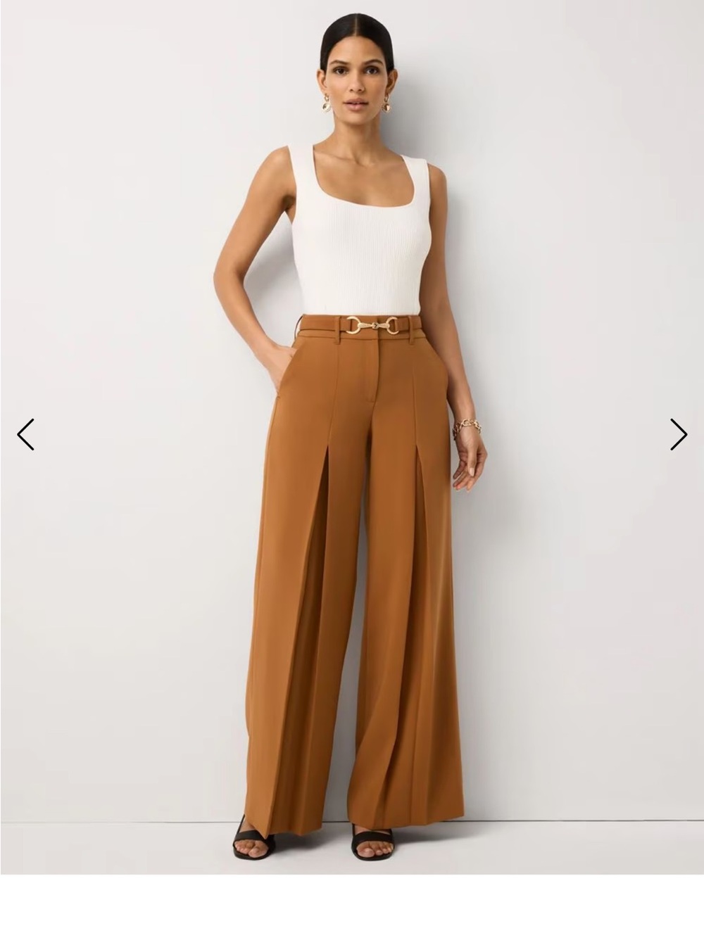 WHBM Wide Leg Pleated Trousers NWT